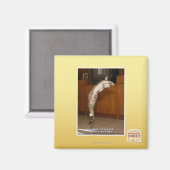 Aimant Pointeur 3 invisible (Recto/Verso)