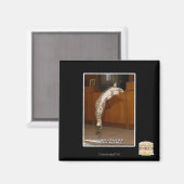 Aimant Pointeur 3 invisible (Recto/Verso)