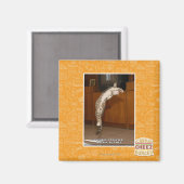 Aimant Pointeur 3 invisible (Recto/Verso)