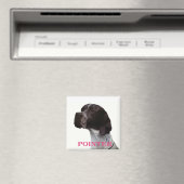 Aimant pointeur rose (In Situ (Lave-vaisselle))