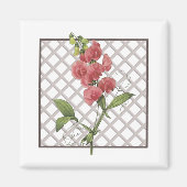 AIMANT POIS DOUX (Devant)