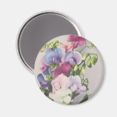 Aimant Pois doux 1907 (Recto/Verso)