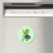 Aimant Poison grenouille (In Situ (Lave-vaisselle))