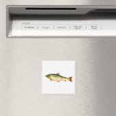 Aimant Poisson (In Situ (Lave-vaisselle))