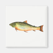 Aimant Poisson (Devant)