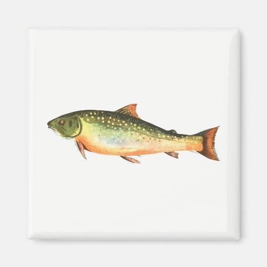 Aimant Poisson (Devant)