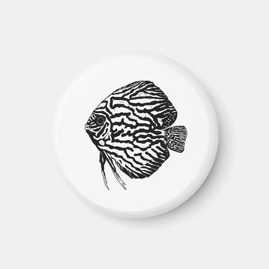 Aimant Poisson (Devant)