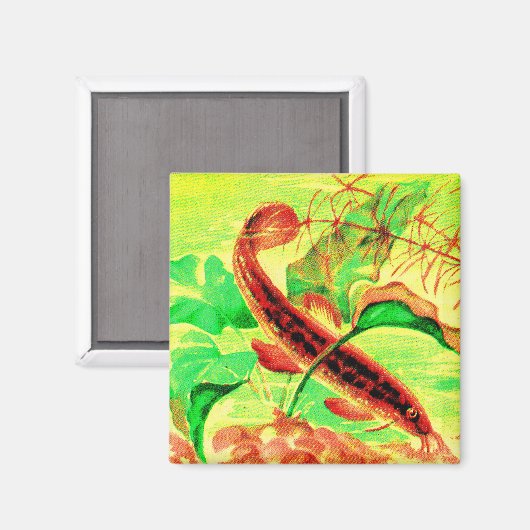 Aimant poisson (Recto/Verso)