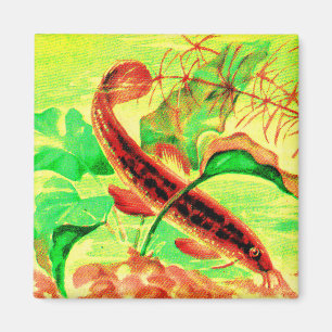 Aimant poisson