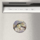 Aimant poisson basse (In Situ (Lave-vaisselle))