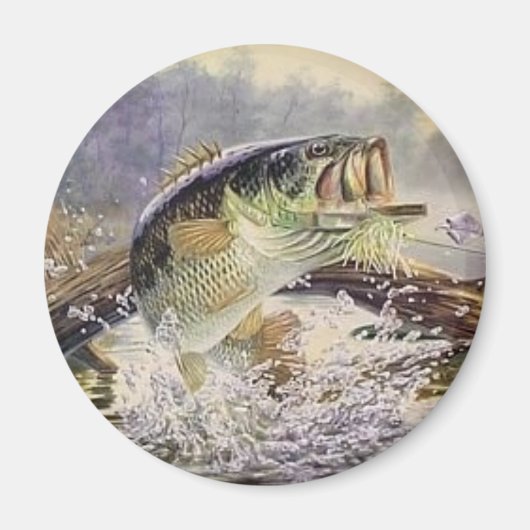 Aimant poisson basse (Devant)