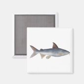 Aimant Poisson-chat tacheté (Recto/Verso)