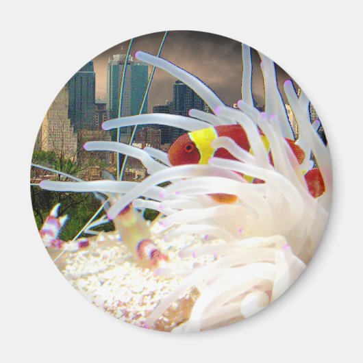 Aimant Poisson clown (Devant)