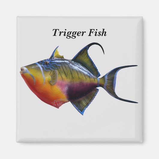 Aimant Poisson de déclenchement (Devant)
