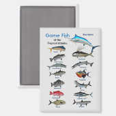 Aimant Poisson de jeu de l'océan Atlantique tropical (Recto/Verso)