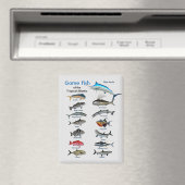Aimant Poisson de jeu de l'océan Atlantique tropical (In Situ (Lave-vaisselle))