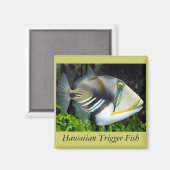 Aimant Poisson de l'État d'Hawaii (Recto/Verso)