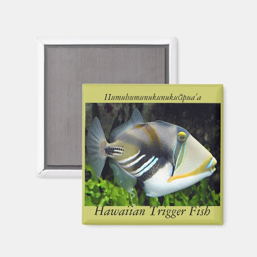 Aimant Poisson de l'État d'Hawaii (Recto/Verso)