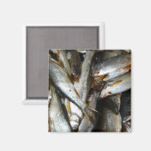 Aimant Poisson de méné du Nord (Recto/Verso)