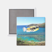 Aimant Poisson d'État d'Hawaï - Humuhumunukunukuapua'a. (Recto/Verso)