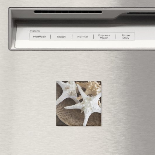 Aimant Poisson d'étoiles dans un panier (In Situ (Lave-vaisselle))