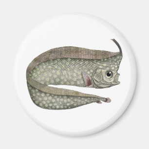 Aimant Poisson d'Oarfish vintage, Vie aquatique marine