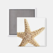 Aimant Poisson étoile (Recto/Verso)