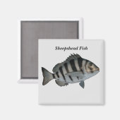 Aimant poisson mouton (Recto/Verso)