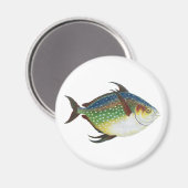 Aimant Poisson Opah tropical, animal aquatique marin Vint (Recto/Verso)