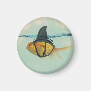 Aimant Poisson rouge avec une nageoire de requin