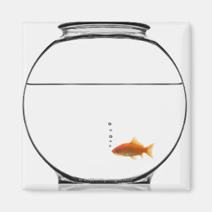 Aimant Poisson rouge dans la cuvette