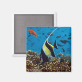 Aimant Poisson tropical (Recto/Verso)
