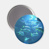 Aimant Poisson tropical (Recto/Verso)