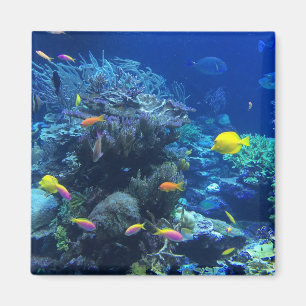 Aimant Poisson Tropical Jaune