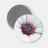 Aimant Poisson violet pâle (Recto/Verso)