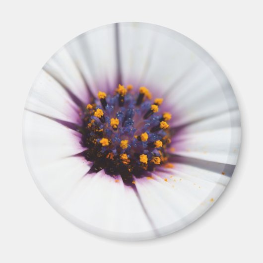 Aimant Poisson violet pâle (Devant)
