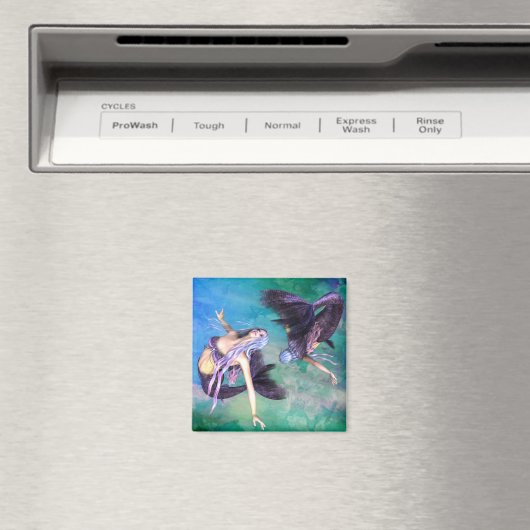 Aimant Poissons (In Situ (Lave-vaisselle))