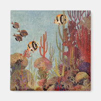 Poissons-anges en corail, poissons tropicaux Vinta