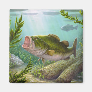Aimant Poissons bas