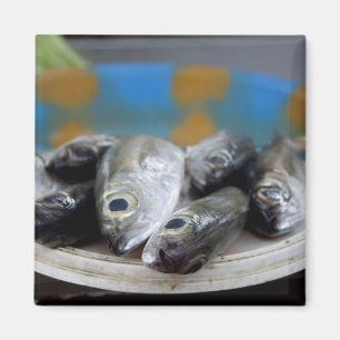 Aimant Poissons frais sur le marché aux poissons (Mercado