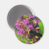 Aimant Pollinateur sur étoile noire - Bumble Bee (Recto/Verso)