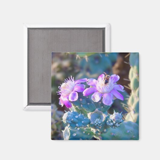 Aimant Pollinisateur à fleurs du désert (Recto/Verso)