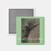 Aimant Polo le chat "What the Cat NIP? !" (Recto/Verso)