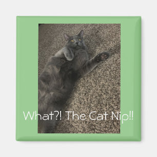 Aimant Polo le chat "What the Cat NIP?!"