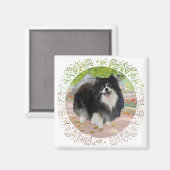 Aimant Pomeranian dans Promenade Ombragée (Recto/Verso)