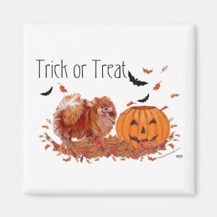 Aimant Pomeranian Halloween