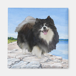 Aimant Pomeranian noir au bord de la mer