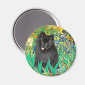 Aimant Pomeranian (noir) - Iris (Recto/Verso)
