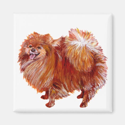 Aimant Pomeranian rouge (Devant)