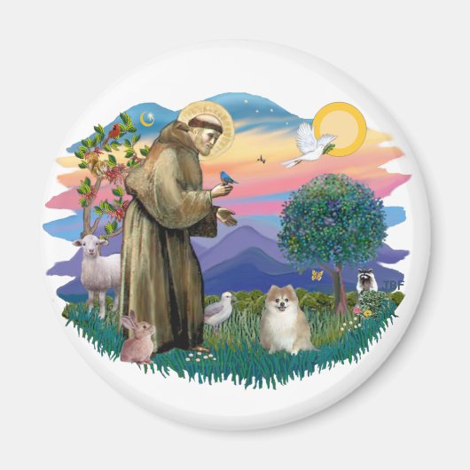 Aimant Poméranien (fawn) (Devant)